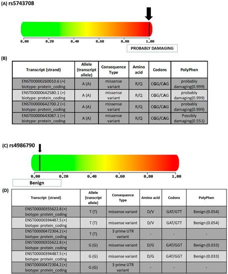 IJMS | September-2 2022 - Browse Articles