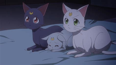 Sailor Moon Crystal Act 34 – The cats mourn the death of Chibiusa ...