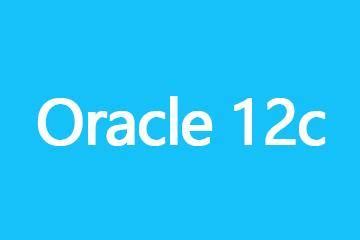 Image result for Oracle 12C SQL*Plus Image
