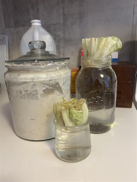 Image result for Zero Waste House