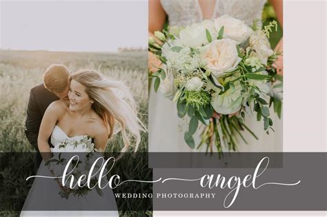 Audacity Python Script Template 的图像结果