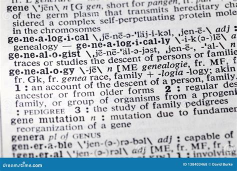 Genealogy Genealogist Gene Family Descent Definition Mutation Stock ...
