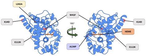 Next-Generation Protein–Ligand Interaction Networks: APEX as a Powerful ...
