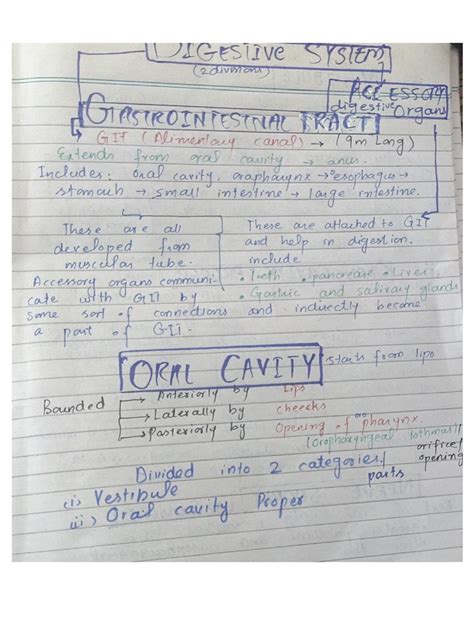 Anatomy of Git System in Amharic 的图像结果