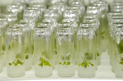 生物技术图片 的图像结果