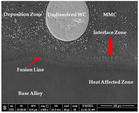 Laser Surface Modification of TC21 (α/β) Titanium Alloy Using a Direct ...