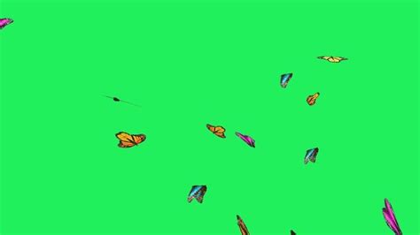 Image result for Greenscreen Flying