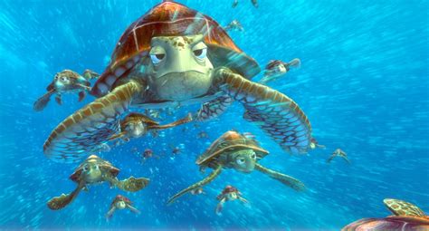 Sea Turtle Age Finding Nemo at George Fay blog