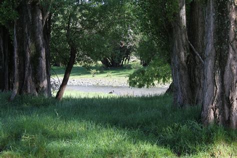 KARETU DOWNS FARMSTAY (Hawarden) - Lodge Reviews, Photos, Rate ...