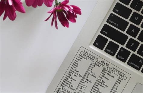 Image result for Mac OS Keyboard Shortcuts