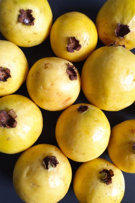 Guayaba Fruit In English