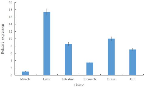 Spexin-Mediated Dietary Adaptation in Siniperca chuatsi: Molecular ...