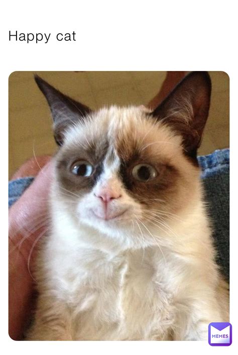 Happy Cat Memes | Happy Cat Animated – TRLP