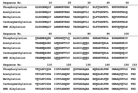 Image result for Acetylation Post-Translational Modification Mechanism