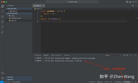 Prettier VSCode Setup 的图像结果