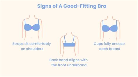 How Should A Bra Fit? 6 Steps To Evaluate Your Bra
