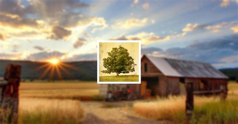 Obituary | Robert John Keller Sr of Mott, North Dakota | Evanson Jensen ...