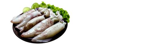 CastleRock - Best Quality Seafood Exporters and Suppliers in India