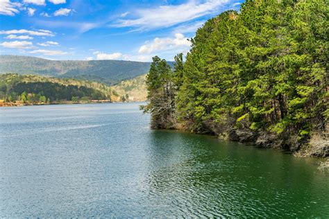 Lake Arrowhead Hiking Trails | Explore 16 Miles in Waleska, GA