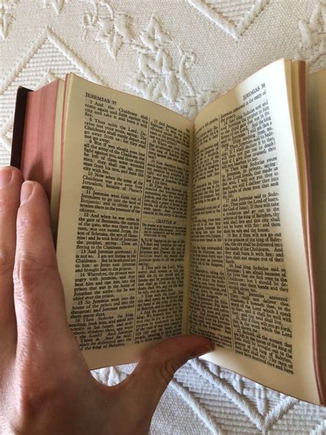 Image result for Catholic Douay-Rheims Gothic