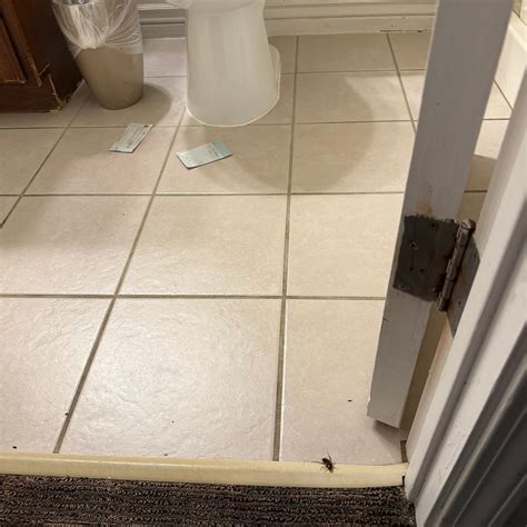 BABY QUAIL INN (Sedona) - Inn Reviews, Photos, Rate Comparison ...