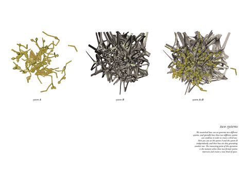 Image result for Machine Learning Diffusion-Limited Agregation