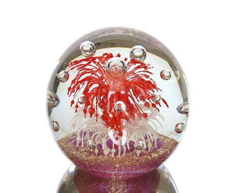 Symbolism Of Paperweight 1984 at Craig Cox blog