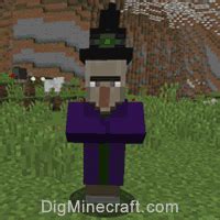 Image result for Minecraft Witch Spawning Conditions Java