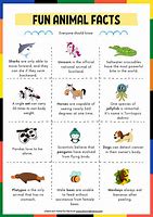 Image result for Fun Facts About Animals for Kids