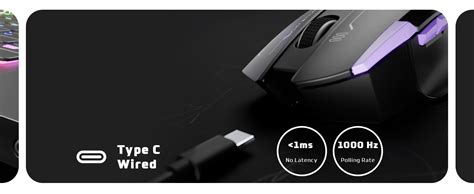 EvoFox Performance Series Banshee Rechargeable Wireless Gaming Mouse (2 ...