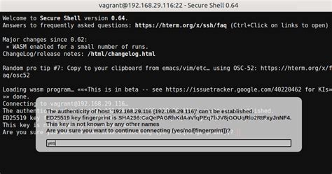 Online SSH Client 的图像结果