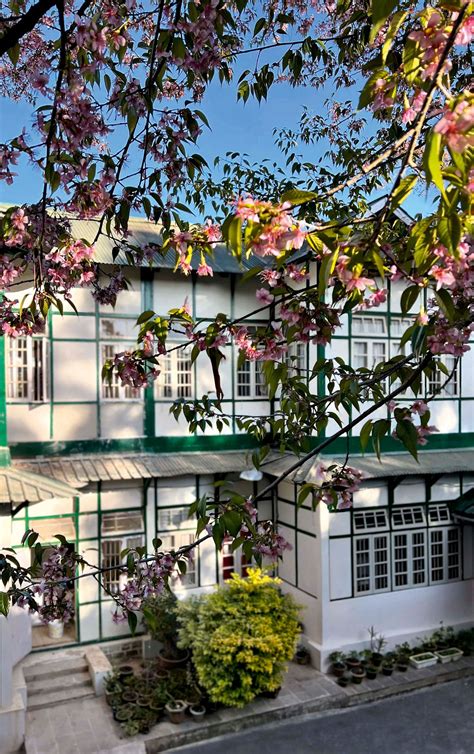 5 stunning heritage bungalows in India that will take you back in time ...