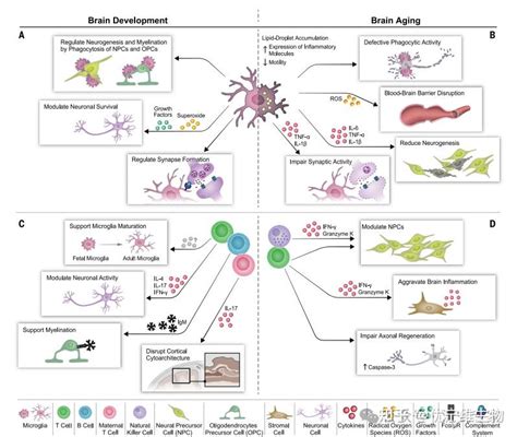Image result for Distributed Virtual Relaity