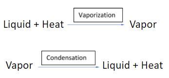 Image result for Praph of Dynamic Equilibrium