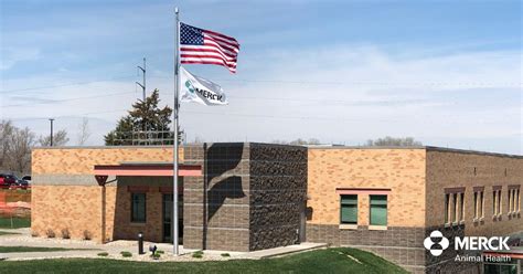 Michelle Nesheim posted on LinkedIn