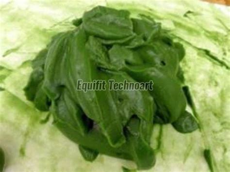 Metal Free Anti Seize Compound Manufacturer, Supplier from Ahmedabad