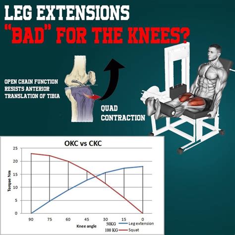 Leg Extensions “Bad” for Your Knees? - weighteasyloss.com