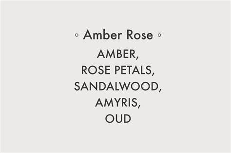 Amber Rose - 8 oz Soy Candle - Splash N Go Farm