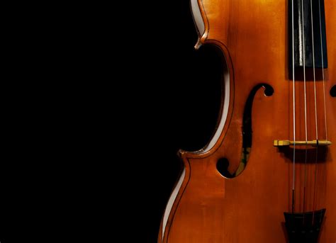 Image result for String Instruments Demo