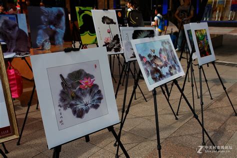 《广西柳州创意手工作品展会》-中关村在线摄影论坛