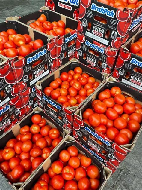 食品银奖！番茄品牌VI设计 - 优优教程网 - 自学就上优优网 - UiiiUiii.com