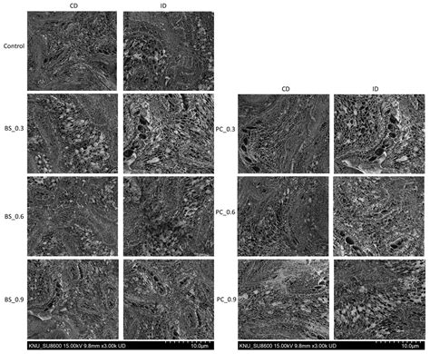 Optimizing Texture and Drying Behavior of Squid (Todarodes pacificus ...