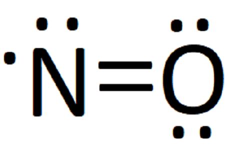 What Is the Best Lewis Structure for Nitrogen Monoxide