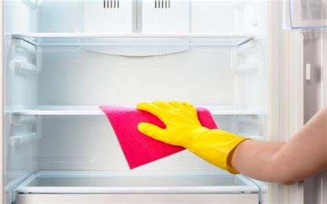 Image result for Freezer Problems