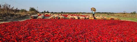 Telangana Tours and Packages: Best Time To Visit | Indianpanorma
