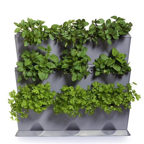 Buy MiniGarden Vertical 1 Set for 9 s, Modular & Expandable Vertical ...