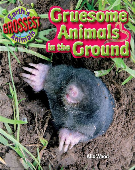 Gruesome Animals in the Ground Book by Alix Wood | Epic