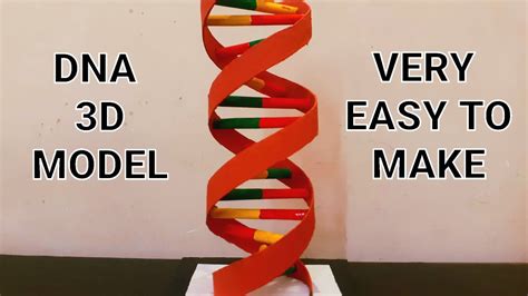 Image result for How to Make DNA Model Using Clay