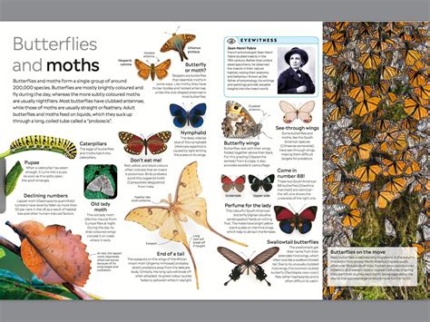 Image result for Insect Reproduction Books