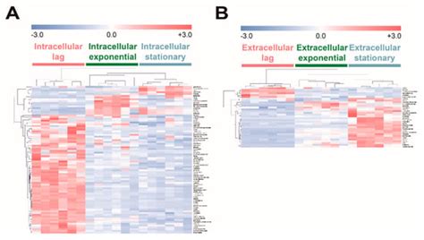 Metabolomic and Transcriptomic Analyses of Escherichia coli for ...